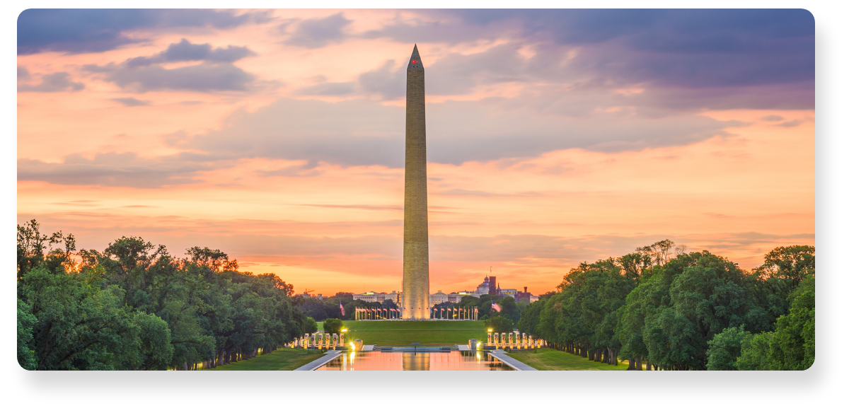 The Washington Monument