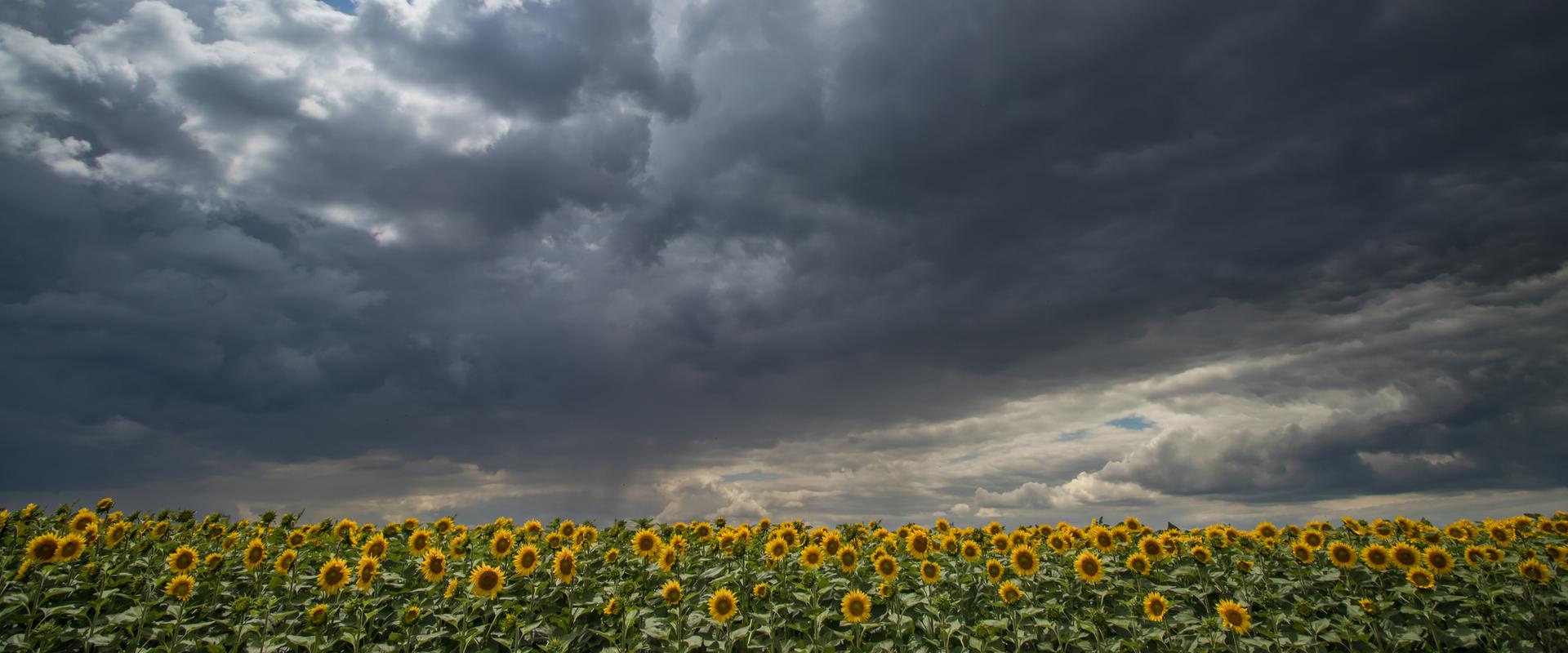 Bloom Into Spring Weather Preparedness